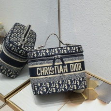 Dior Cosmetic Bags